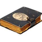 Diary 13 VQXOv3 scaled 1