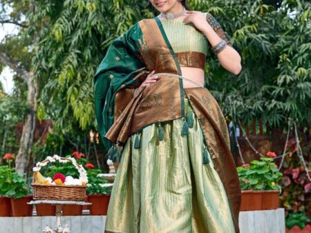 Home 🏡 22 Women’s Tussar Silk Patola Print Lehenga Choli Dupatta Set