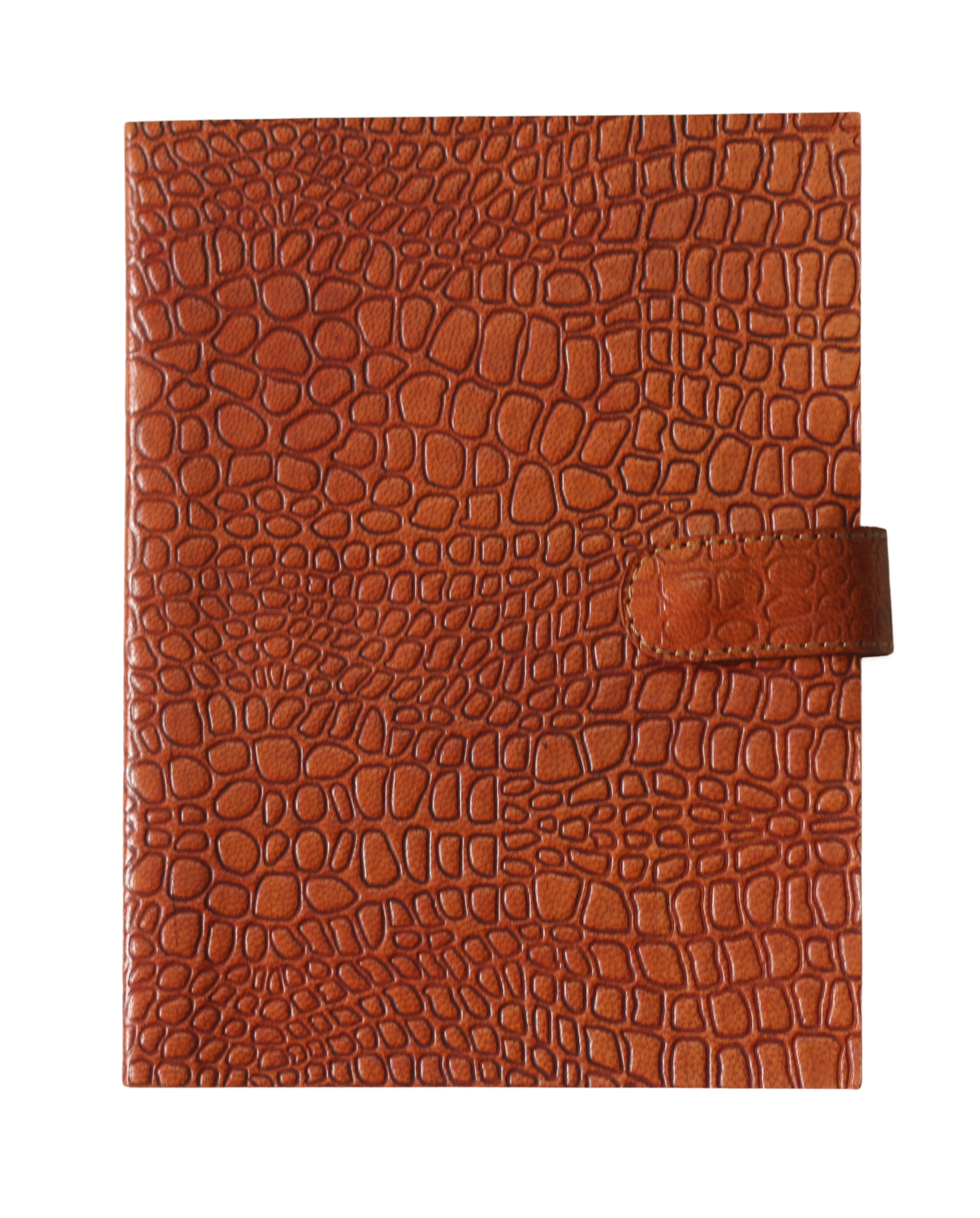 Diary 1 5m4hDz scaled