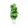 Artificial Plants with Pot Showcase Decoration Plants Flowers | Fake Plant | Artificial Plants for Home Decor Office Gifting Plants Decorative Potted Plants (RV-AP25) 2 SkmwRk