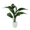 Artificial Plants with Pot Showcase Decoration Plants Leaf | Fake Plant | Artificial Plants for Home Decor Office Gifting Plants Decorative Potted Plants (RV-AP24) 2 iRSUWi